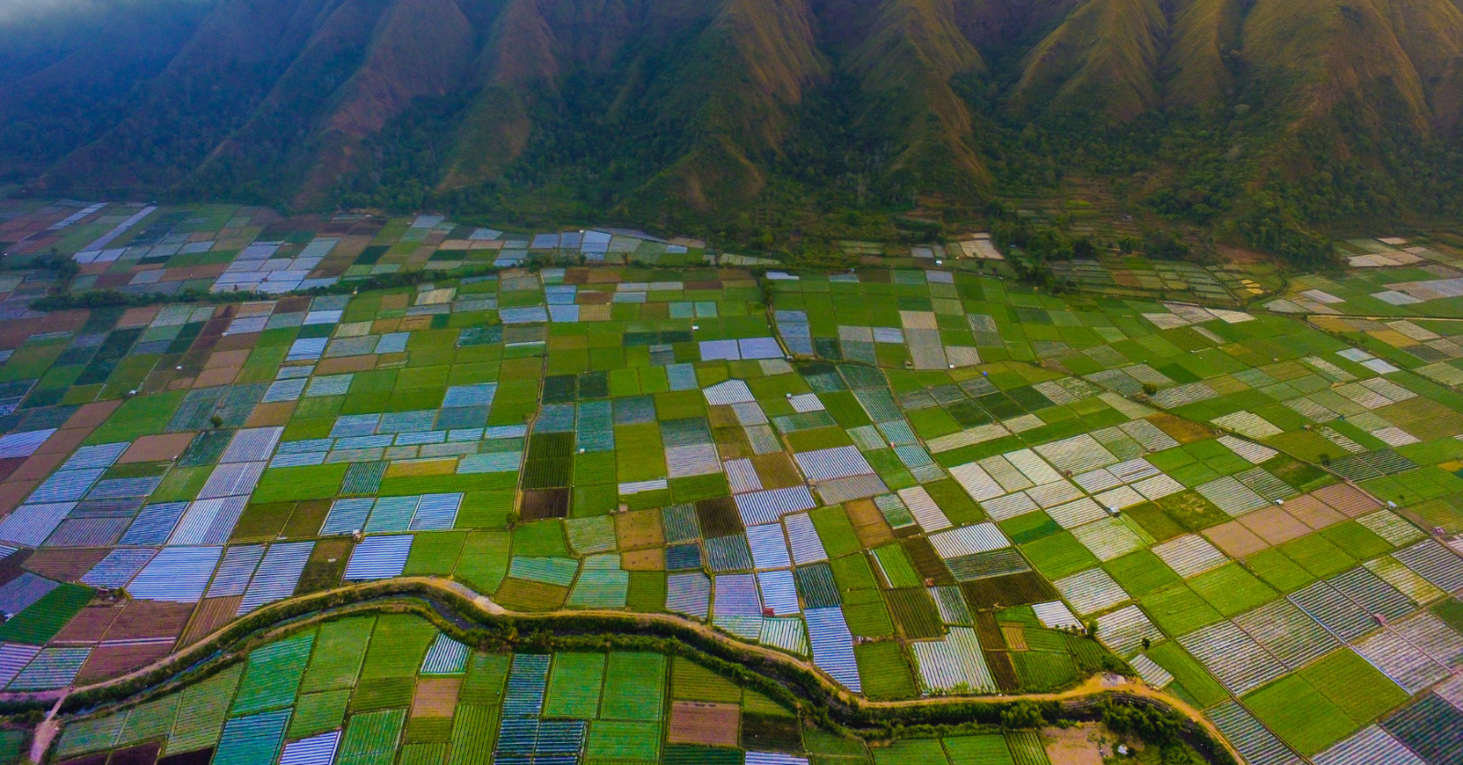 Bukit-Selong-Sembalun